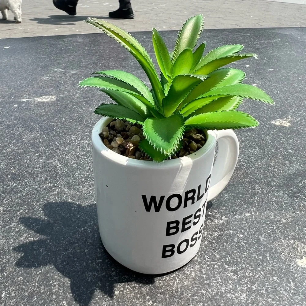 The Office Faux Plant Mug World’s Best Boss